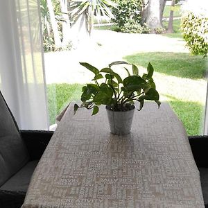 Aloha Paraíso